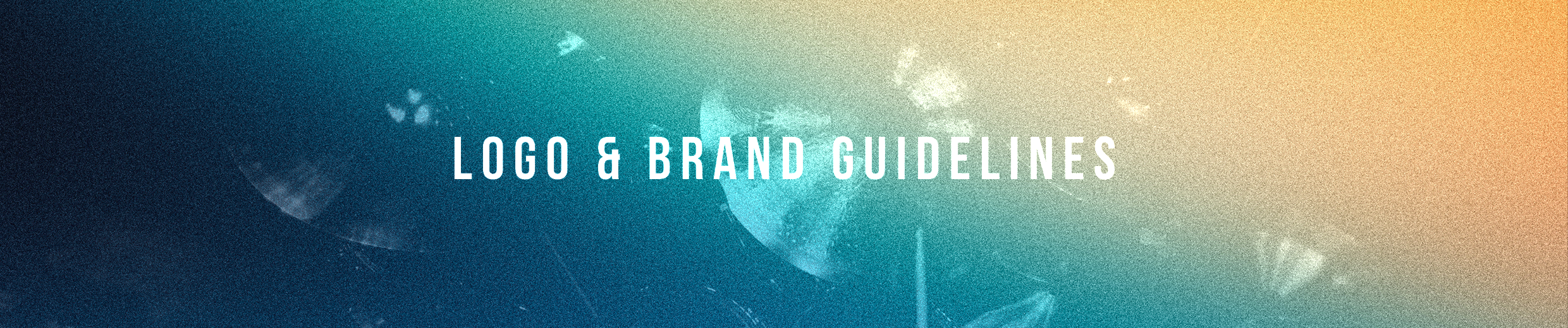 Logo & Brand Guidelines header image